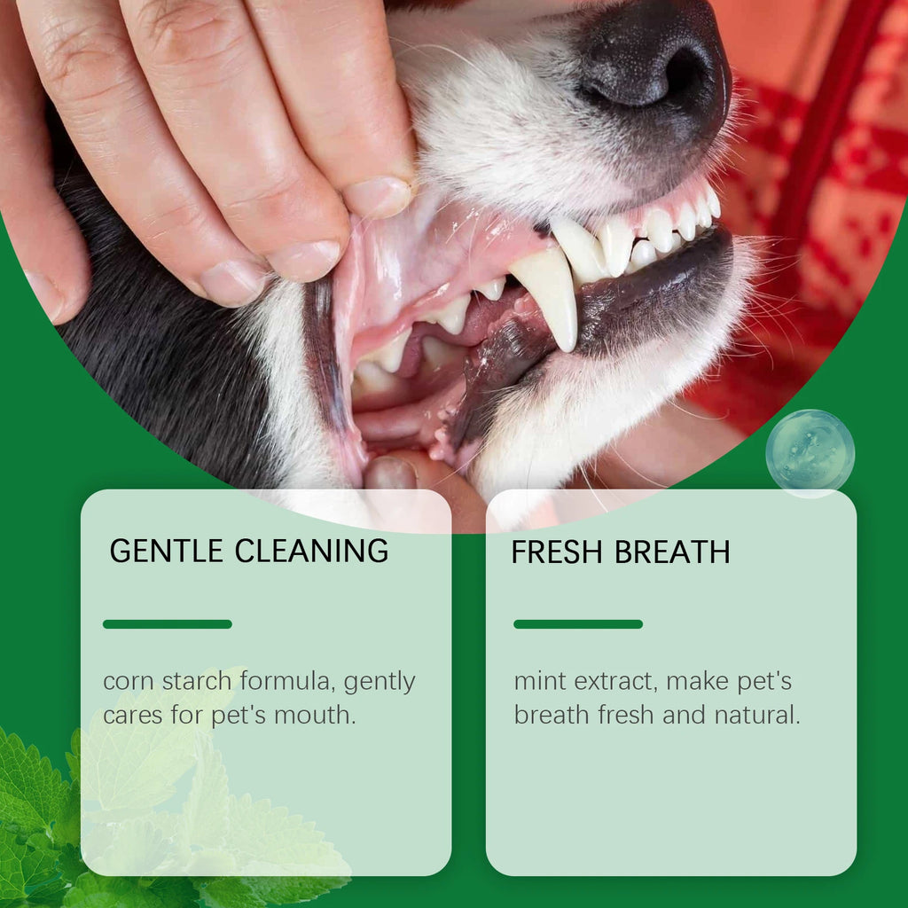 YEGBONG Pet Teeth Cleaning Powder – Plaque & Fresh Breath 100g Pet Dental Powder Oasis Select