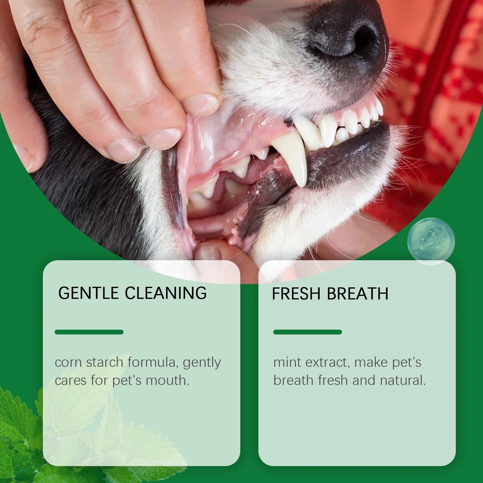YEGBONG Pet Teeth Cleaning Powder – Plaque & Fresh Breath 100g Pet Dental Powder Oasis Select