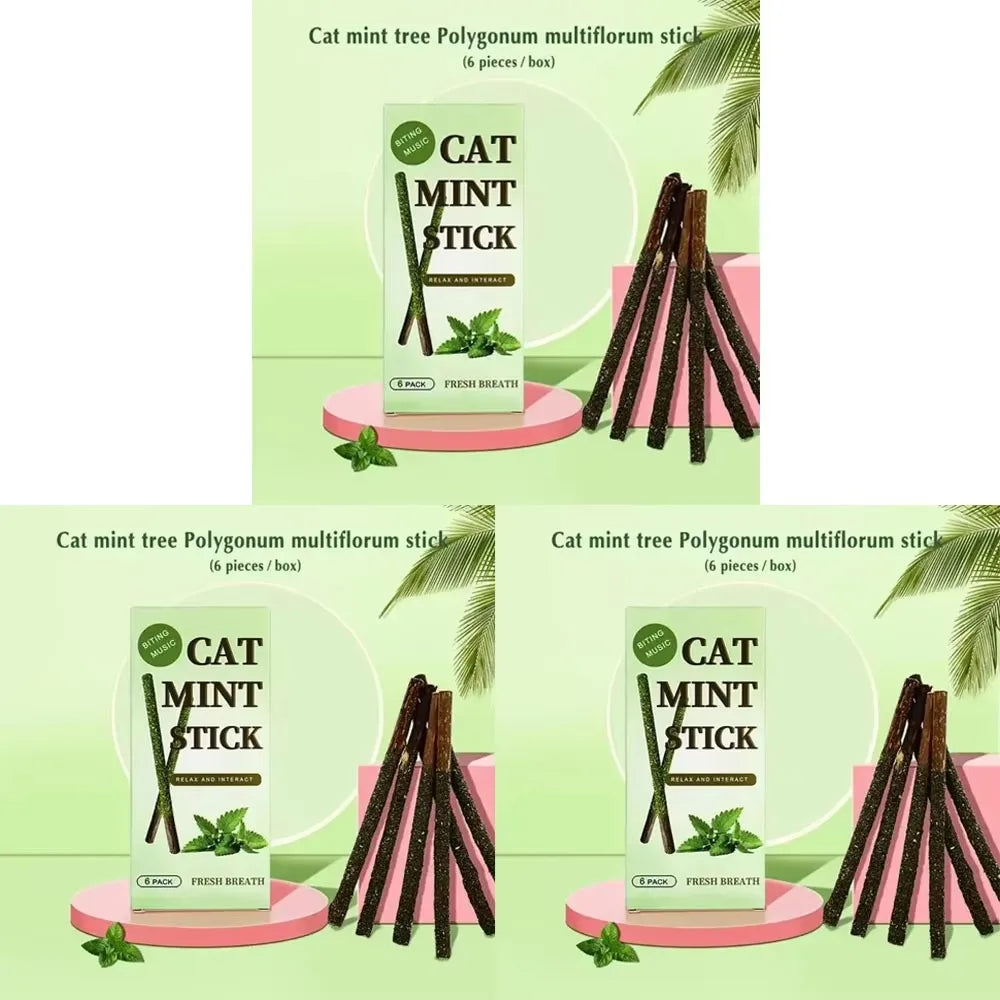 1/2/3/4box Natural Cat Stick Mint Caught Bite Excited Rods Silvervine For Cat Teeth Cleaning Treating Pet Supply Cat Supplies Oasis Select 3box Green