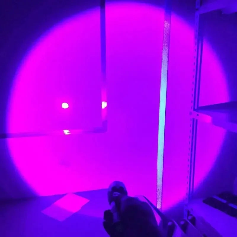 395nm UV Blacklight Flashlight | USB Rechargeable, Waterproof