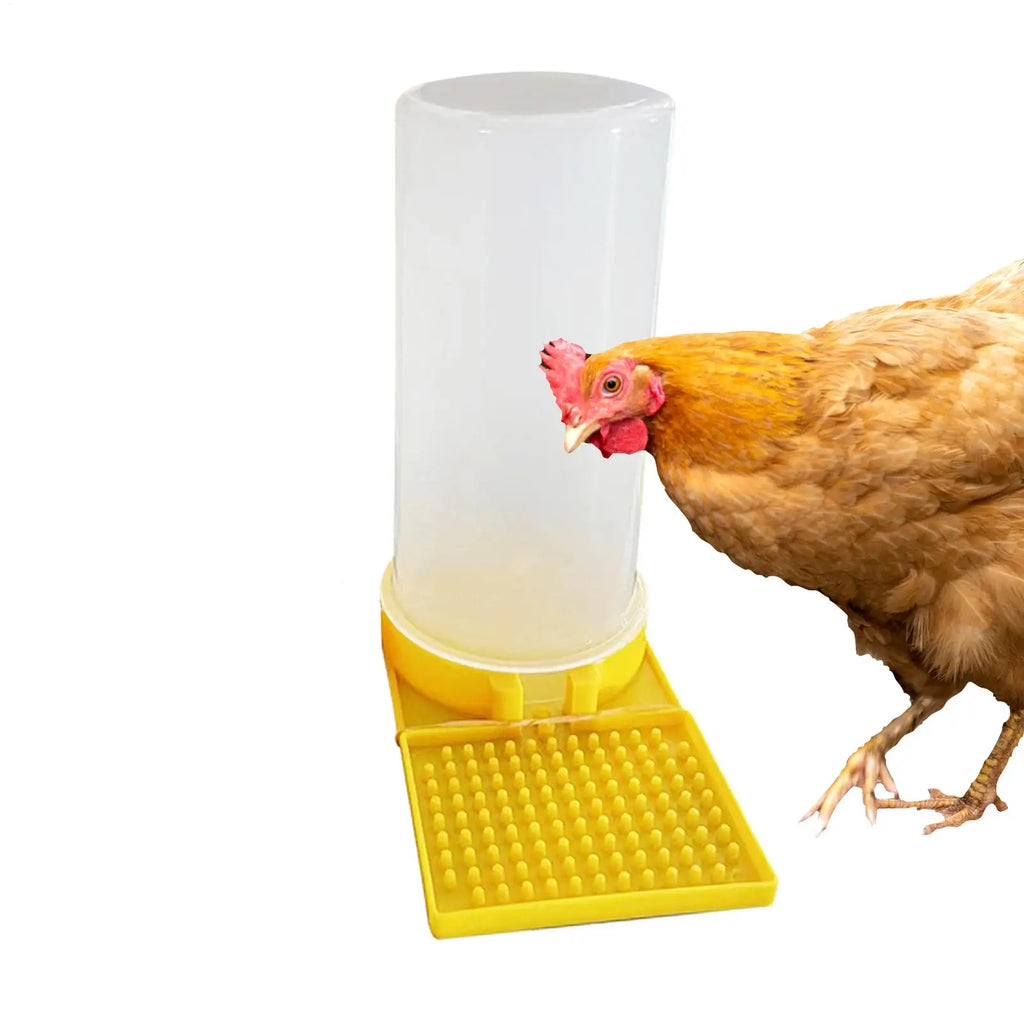 Poultry Feeder Water Cup Leakproof Large Capacity Clear Feeder Water Cup Feeding Container for Chicks Quail Bee Feeders Oasis Select