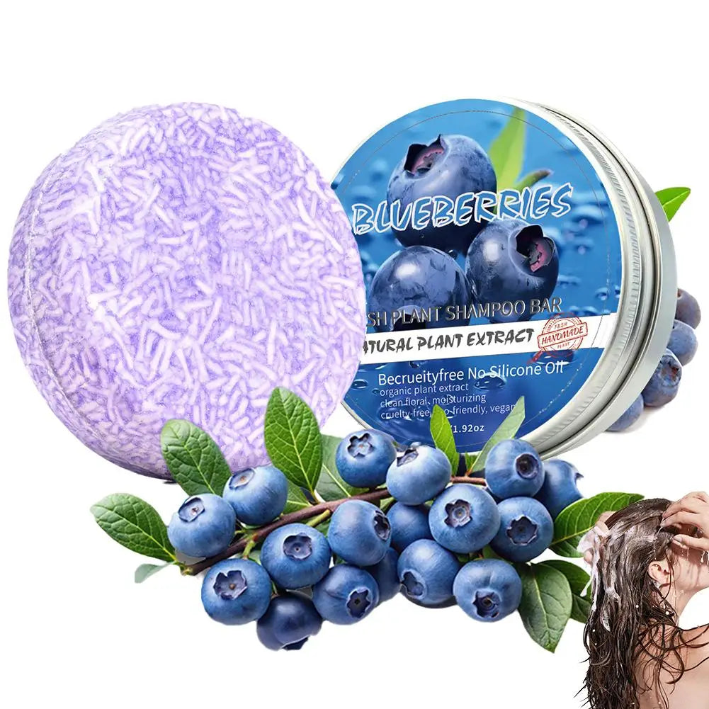 Blueberry Shampoo & Conditioner Bundle Bar for Hair Thinning Frizz, Blueberry Solid Shampoo & Conditioner Strengthen Hair Care Oasis Select Shampoo