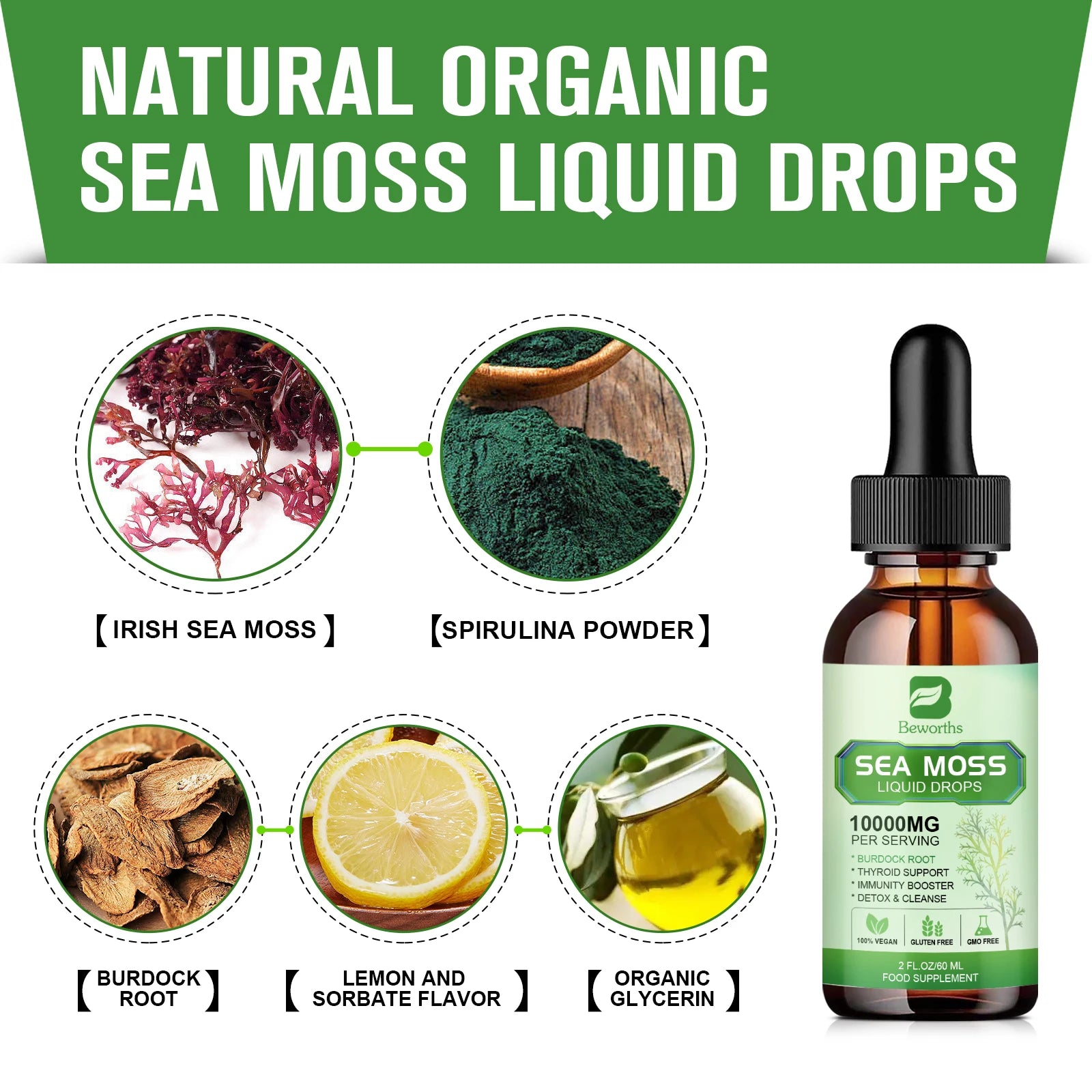 BEWORTHS Organic Seamoss Drops with Burdock Root and Spirulina Support Immunity and Gut Health, Help Digestion Weight Management Oasis Select