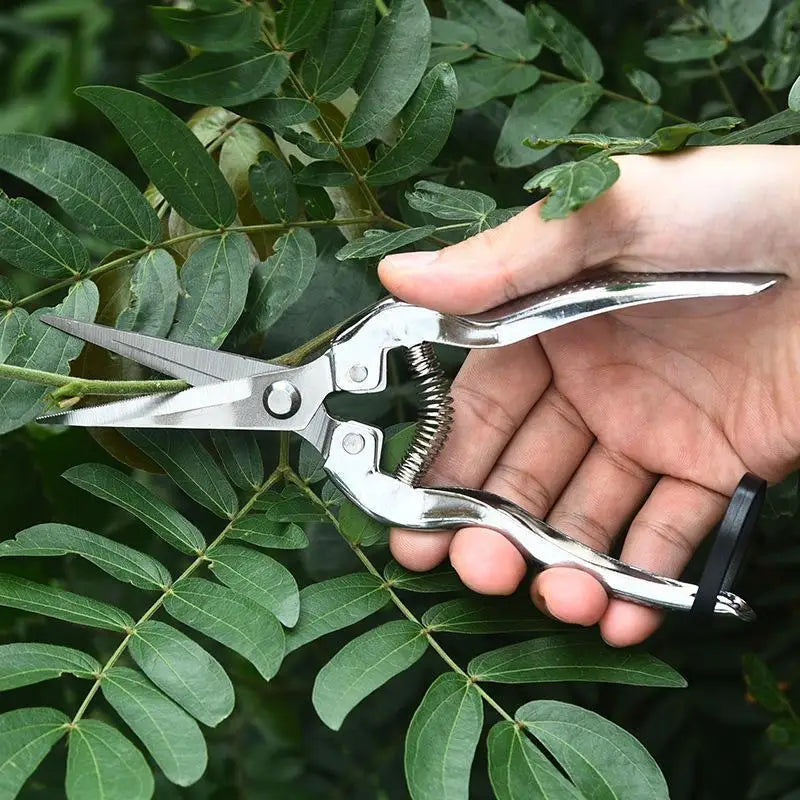 Stainless Steel Pruning Shears | Sharp Blades, Non-Slip Handle