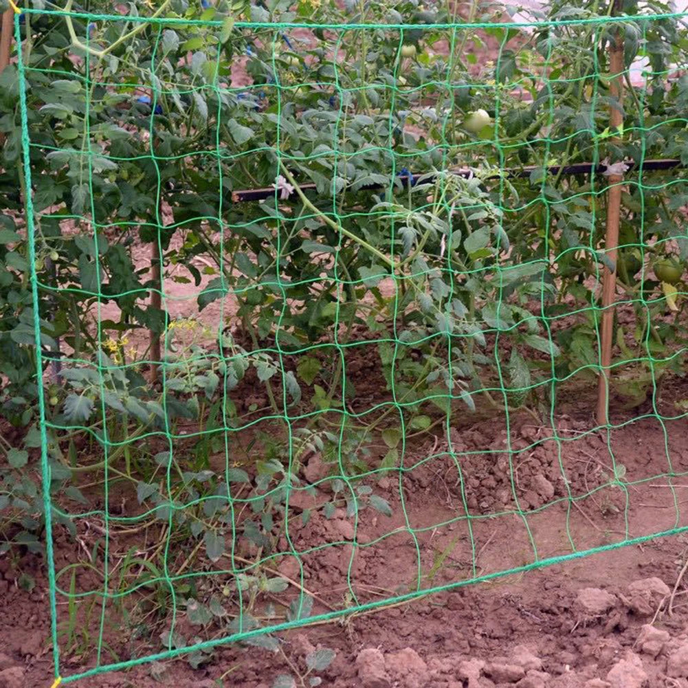 Multifunctional Climbing Rattan Net Green Gardening Lattice Net Heat-resistance Vine Climbing Rack Net for Cucumbers Watermelons Oasis Select