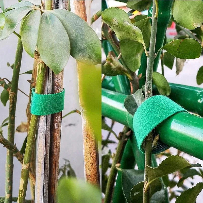 Green Garden Twine Plant Ties Nylon Plant Bandage Garden Hook Loop Bamboo Cane Wrap Support Garden Accessories Oasis Select