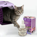 Cat Pheromone Plug-In Diffuser 48ml – Calming Stress Relief Cat Calming Diffuser Oasis Select Purple One Size