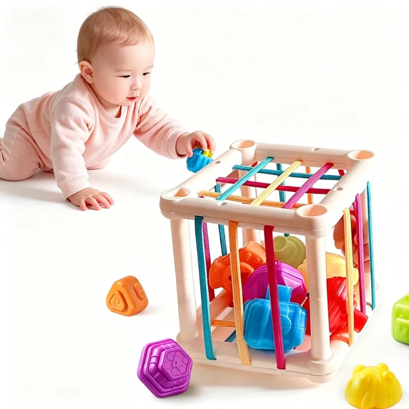 Fruit Cecele Shape Color Color Fruit Cognition Rainbow Cecele interactive game toy Oasis Select