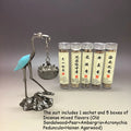 Crane Incense Burner and 5 Tubes Natural Disk Incense Set,Includes 5 Scents Agarwood & Goose Pear Tent & Sandalwood & Ambergris Oasis Select suit