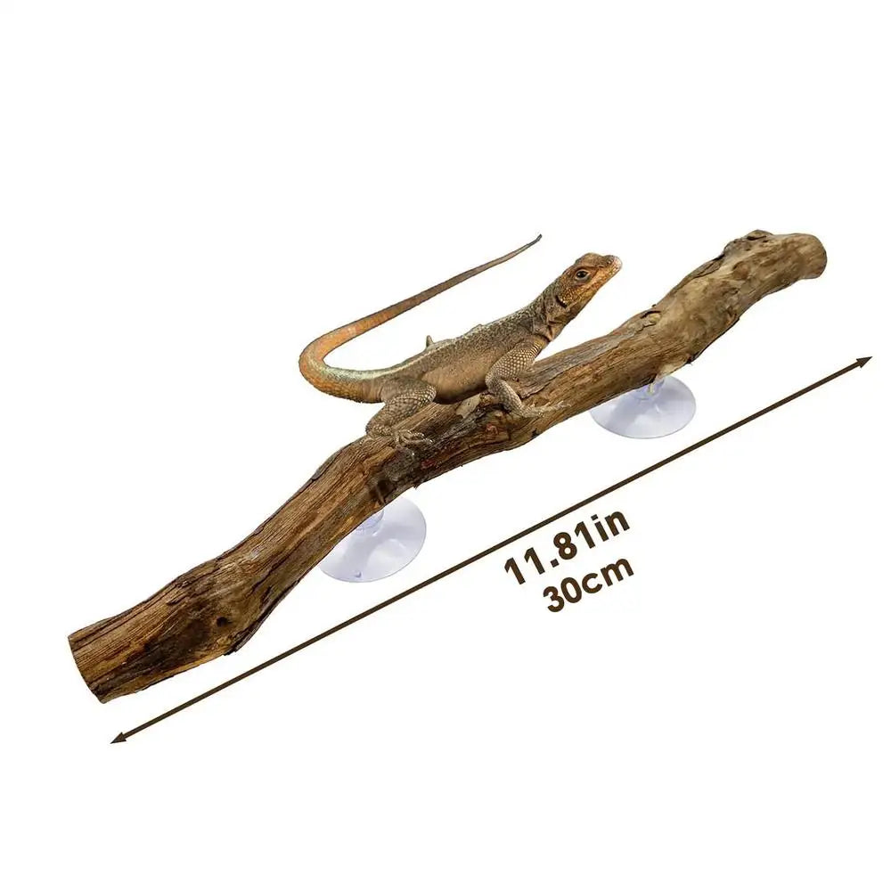 Snake Climbing Branch Unique Snake Climbing Decor Natural Non-slip Habitat Decorations Reptile Decor for Bearded Dragon Snake Oasis Select wood