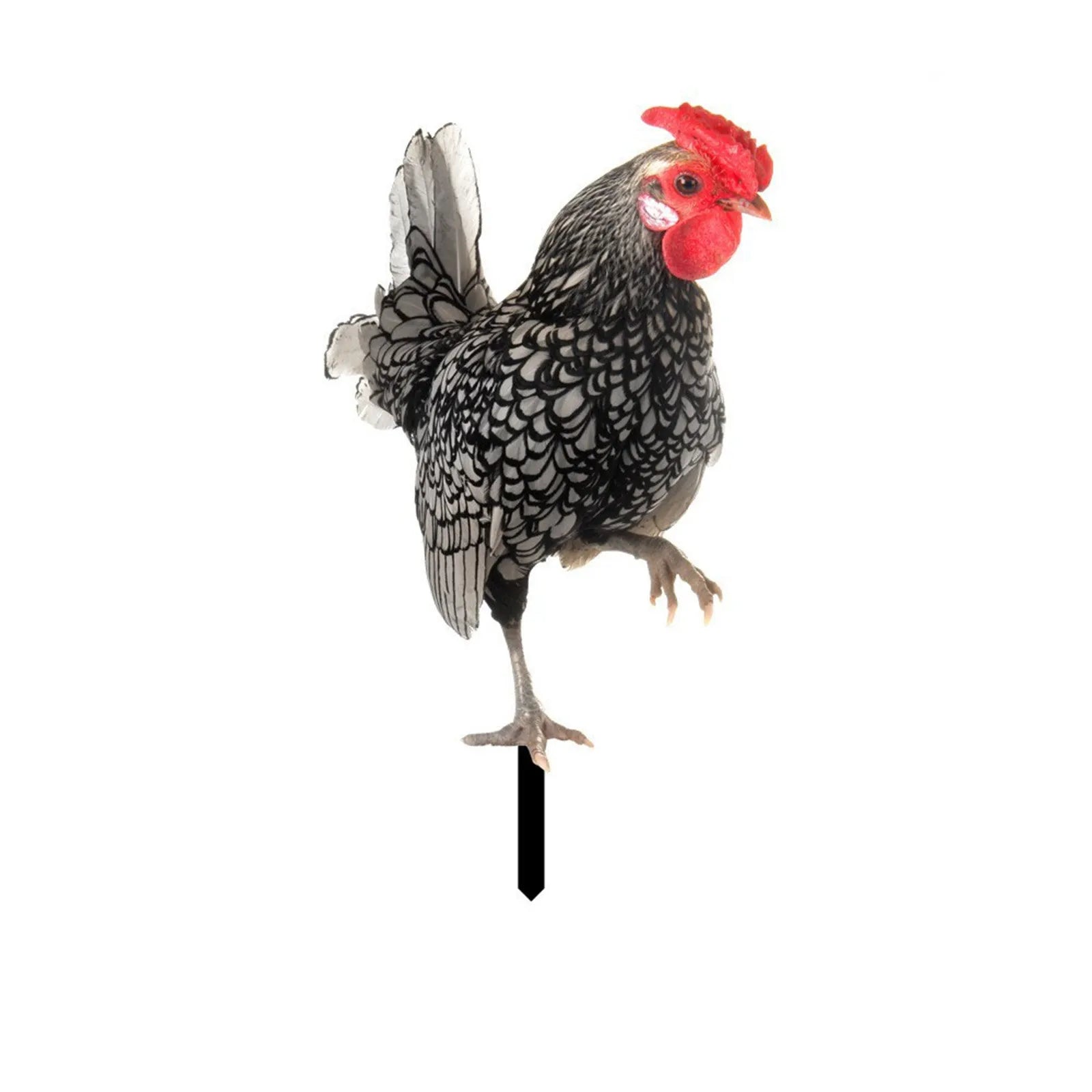 2D Flat Garden Statues Ornaments For Hen Chicken Decorations Sculptures Yard Art Outdoor Decorations Rooster Statue Art Deco Oasis Select 1PC 3 One Size