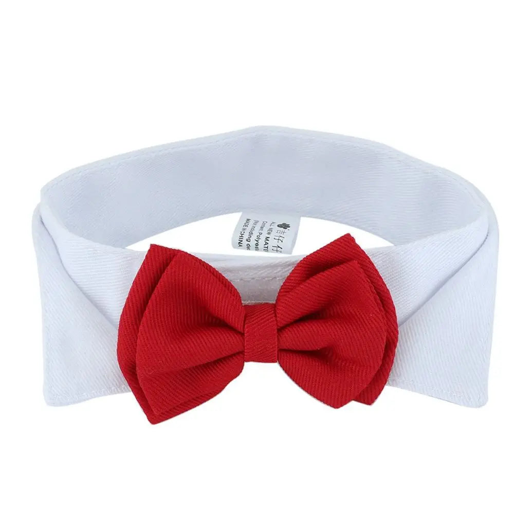 Adjustable Pet Bow Tie Collar for Small Dogs & Cats