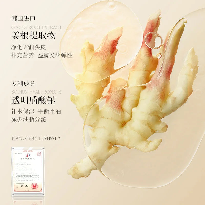 Ginger King Soft and Balanced Shampoo 500ml Smooth Hair Mask Hydrating Moisturizing Wash Kit Oasis Select