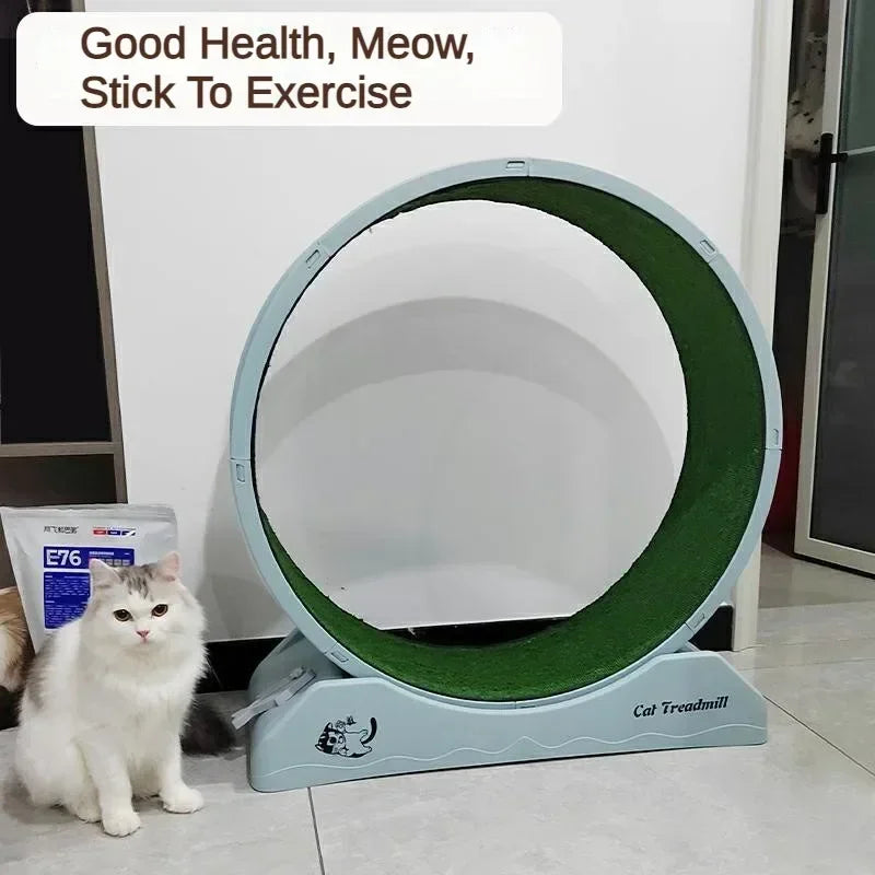 Cat Toys Silent Treadmill Wear-Resistant 0 Formaldehyde Cat Fitness Treadmill Wheels Sustainable Cat Play Cat Accessories Oasis Select