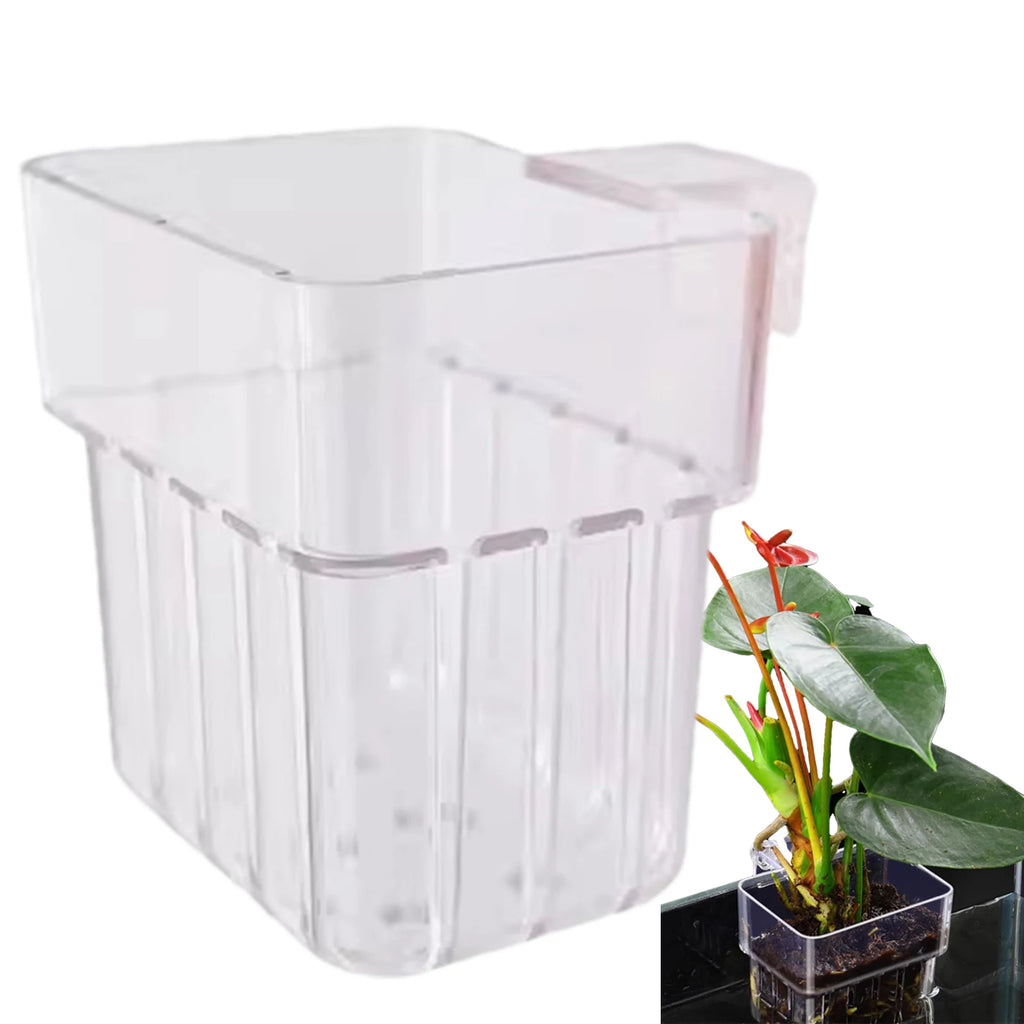 Aquarium Plant Holder Transparent Aquarium Decorations Plants Pot Aquatic Plants Holder Aquatic Plant Cup Fish Tank Planter Oasis Select