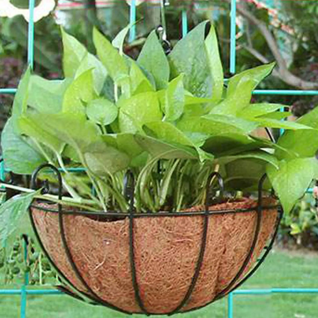 Coconut Basket Liners Coconut Coir Basket Plant Basket Liner Fence Flower Baskets Plants Replacement Liners for Garden Flower Oasis Select