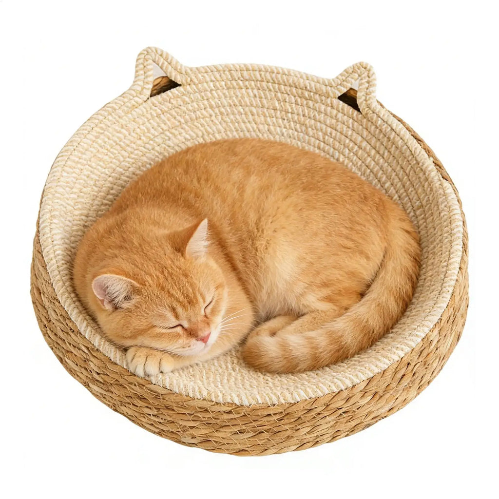 Cat Bed Sofa Cat Scratching Board 2 in 1 Wear-resistant and Scratch-resistant Cat Bed Scratcher Sofa Protector Cats Furniture Oasis Select