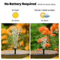 Outdoor Floating Solar Fountain Garden Lawn Water Pump Kits with 6 Spray Heads Brushless Motor Soalr Fountain Pump Oasis Select Australia