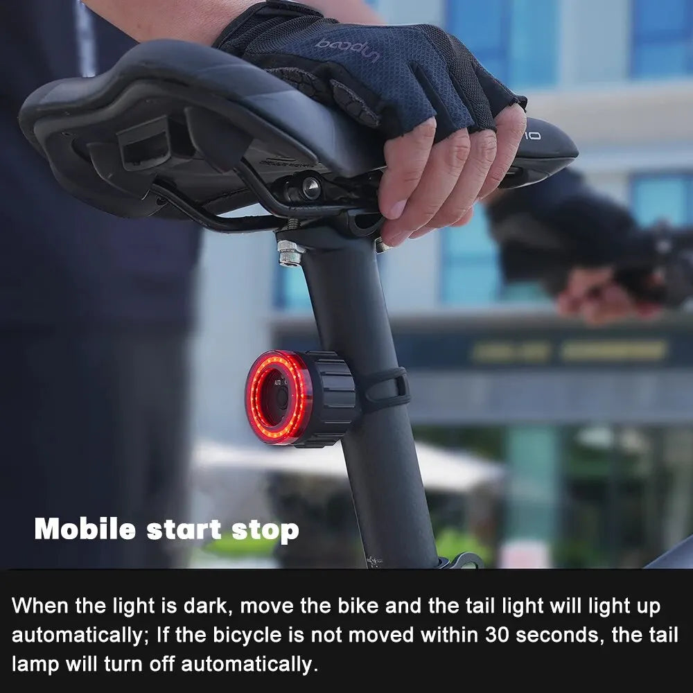 X-TIGER Smart Bicycle Tail Light Waterproof LED Sensor Brake Light Super Bright Cycling Safety Warning Light Oasis Select