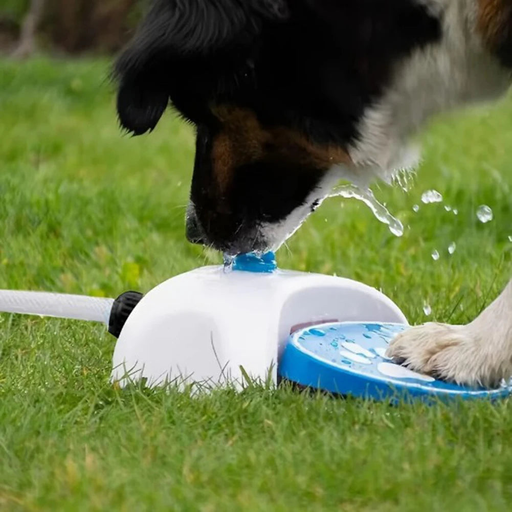Paw-Activated Dog Water Sprinkler | Outdoor Pet Dispenser