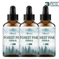 Hllozzi Forest Pine Essential Oil – Diffuser & Massage Blend