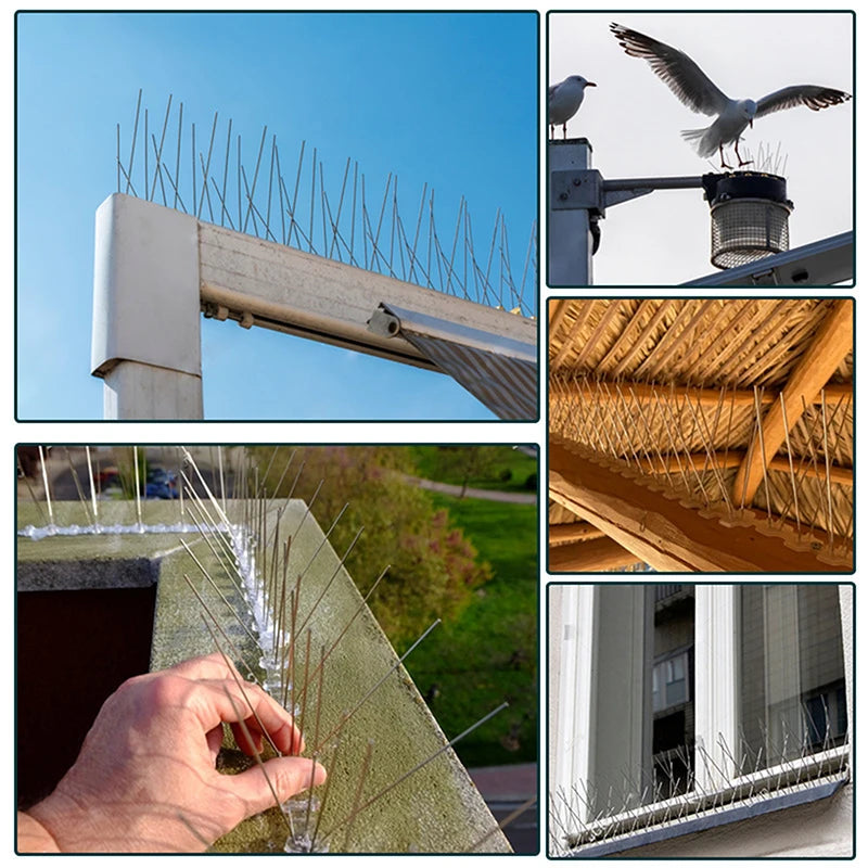 1PC 25cm Stainless Steel Balcony Anti-bird Repellent Thorn Nail Kit Pigeon Spikes And Bird Repeller Deterrent Pest Control Oasis Select