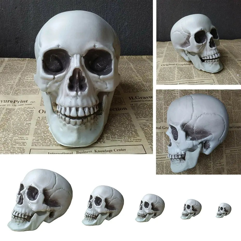 1PC All Size Party Decoration Home Decor Halloween Props Human Skeleton Skull Head Hanging Decor Oasis Select