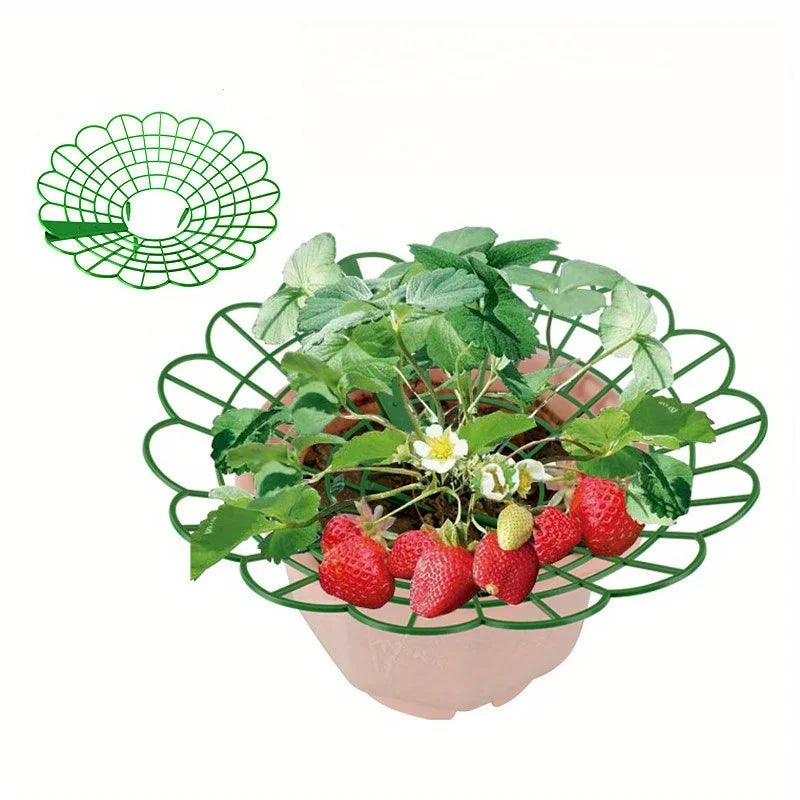 5/10pcs Strawberry Plant Supports with Three Sturdy Legs Provide Protection for Strawberries Against Mold, Rot, and Dirt Oasis Select