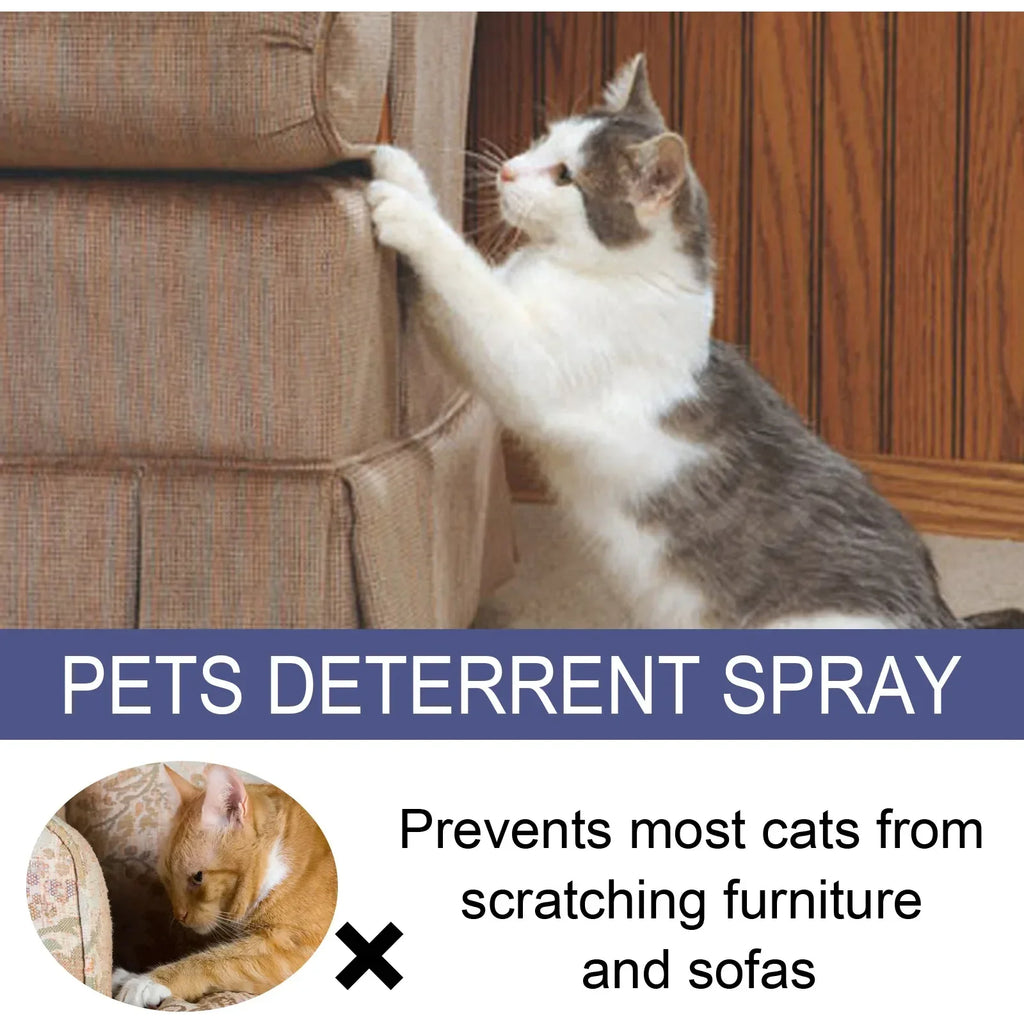 50ml Cat Scratch Deterrent Spray Natural Scratching Training Aid Spray No Stimulation Orange Fragrance Sofa Furniture Protectors Oasis Select