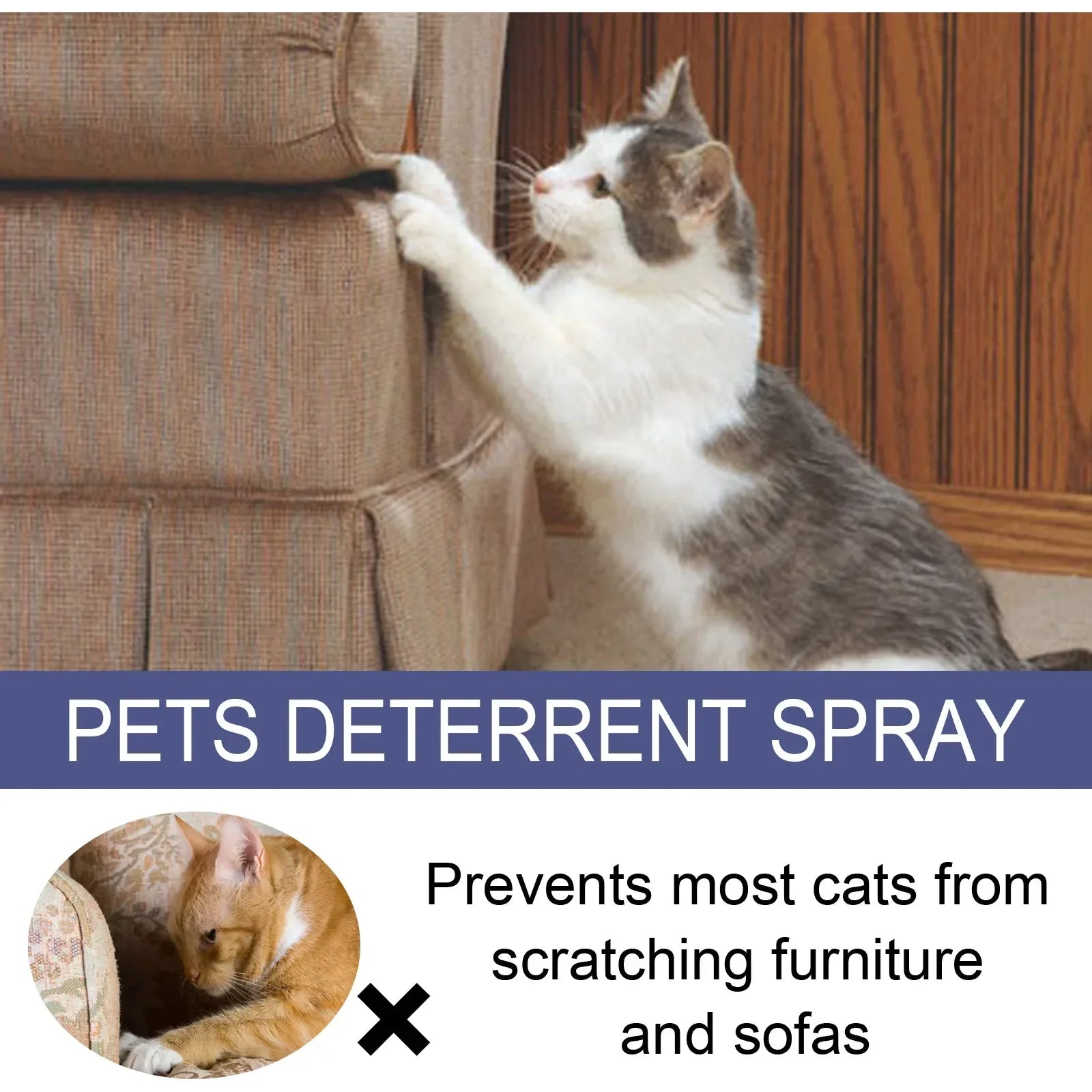 50ml Cat Scratch Deterrent Spray Natural Scratching Training Aid Spray No Stimulation Orange Fragrance Sofa Furniture Protectors Oasis Select