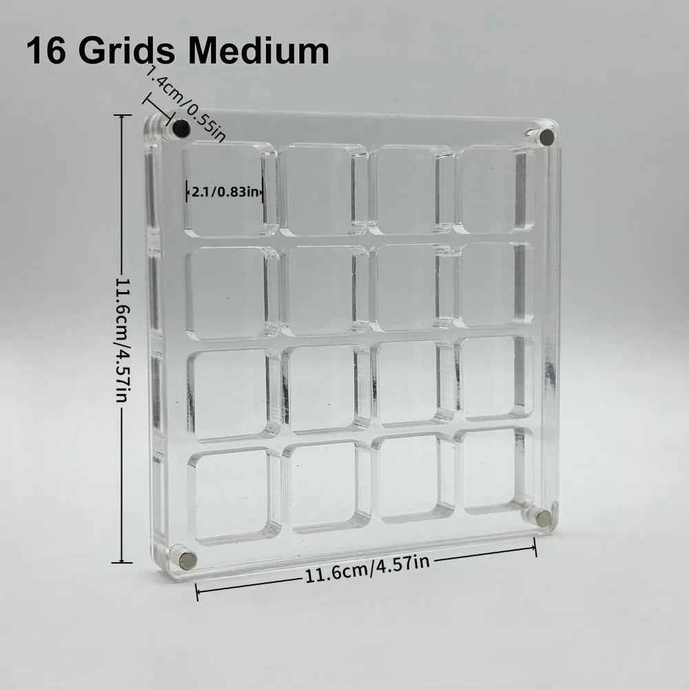 16-Grid Seashell Display Box with Magnets Acrylic Storage Display Organizer Box Durable Starfishs Trinket Storage Case Oasis Select