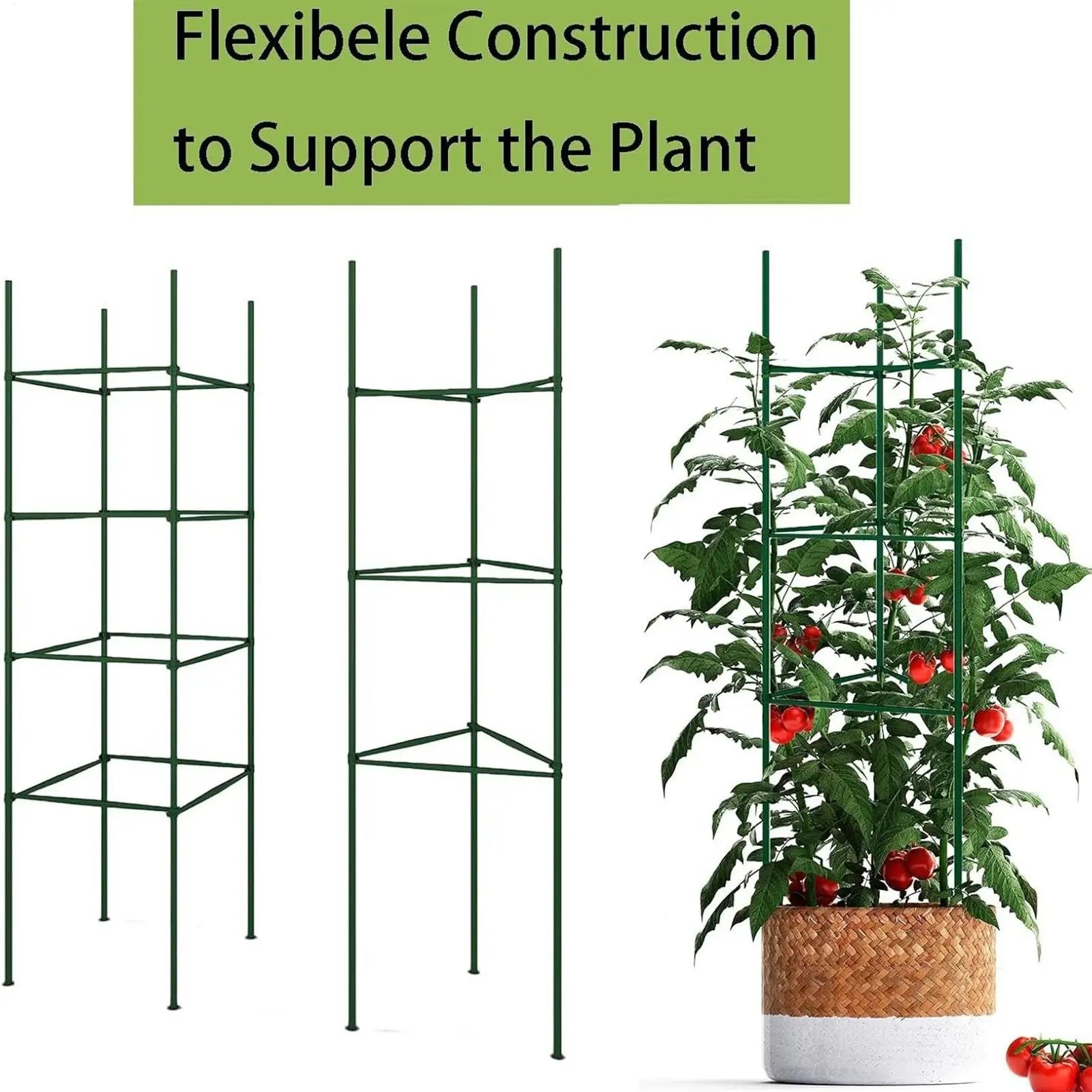 36Pcs Garden Vegetable Stakes Plant Cages To Support Plant Growth Anti Overturning Tomato Cages For Vertical Climbing Of Plants Oasis Select