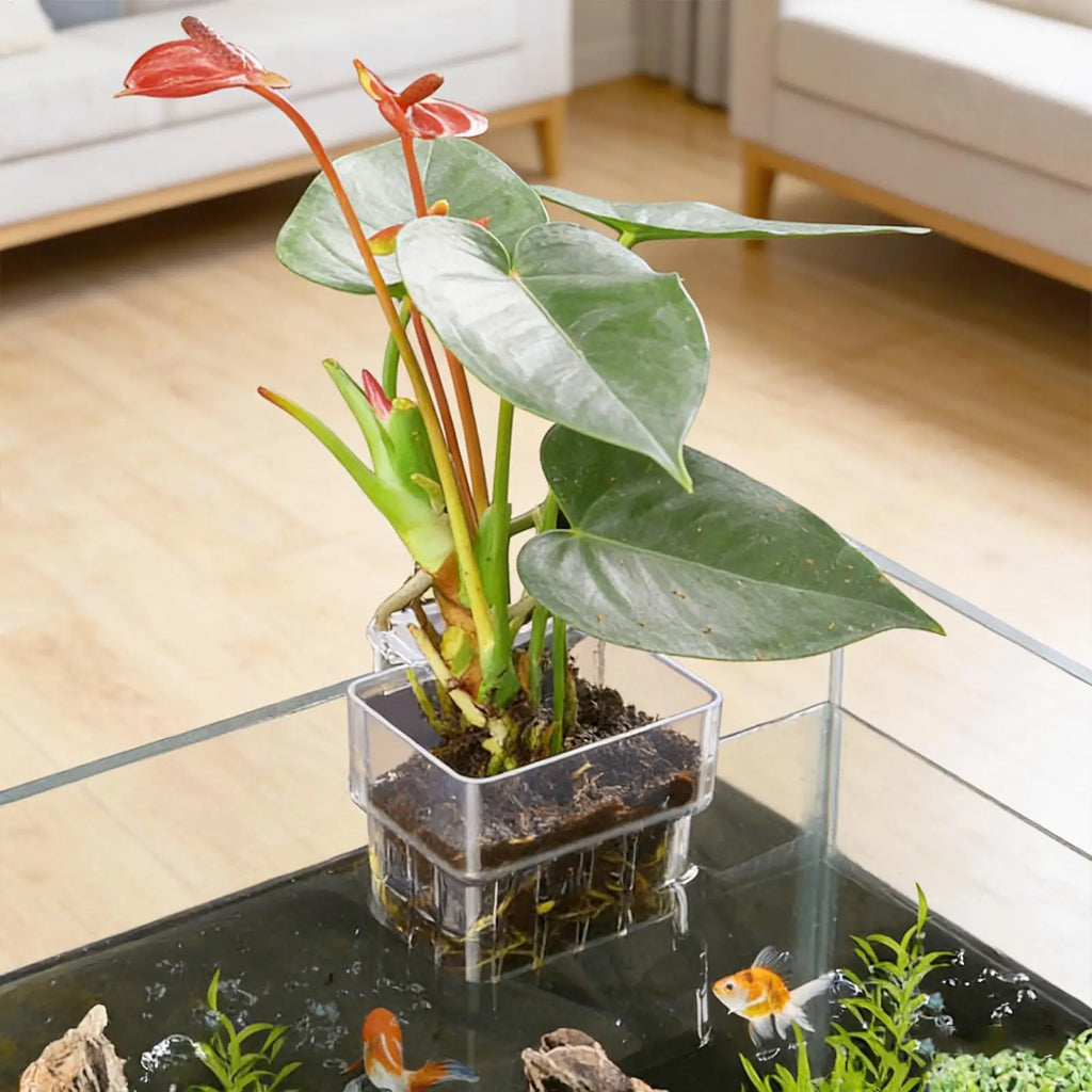 Transparent Hangable Pot Aquarium Plant Holder Aquarium Planter for Fish Tank Hydroponic System Indoor Cultivation Decorations Oasis Select