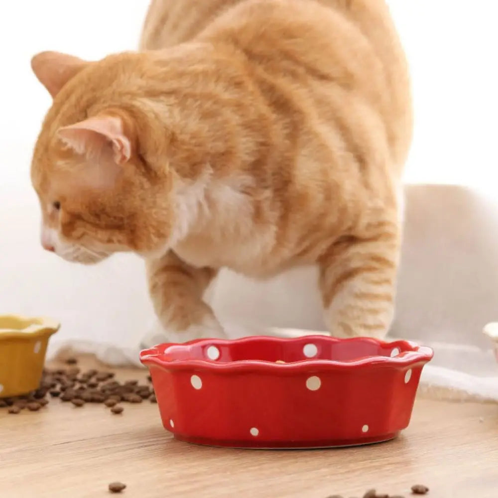 Anti-Tip Ceramic Cat & Dog Food Bowl | Wave Dot Feeder