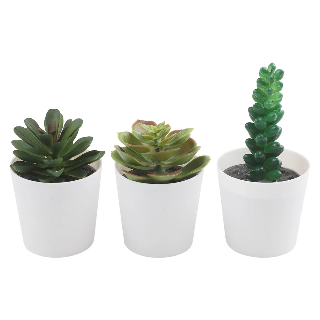 Artificial Succulent Bonsai Set of 3 – Faux Desktop Decor Artificial Succulent Set Oasis Select set1