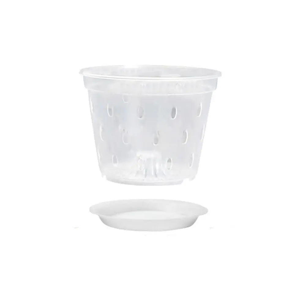 Transparent Orchid Pot with Drainage Holes & Tray | Phalaenopsis