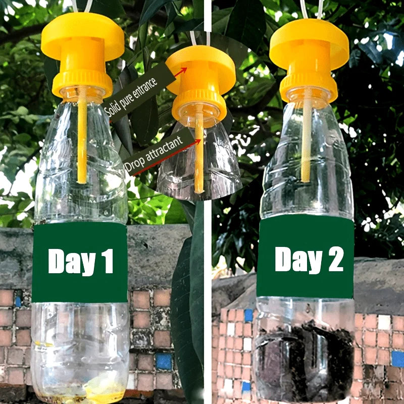 2pcs Physical Insect Traps Non-toxic Without Electricity.Suitable for Catching Beetles,for Agricultural Pest Control Trap Cover Oasis Select