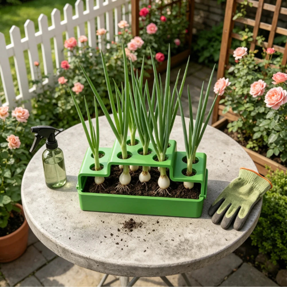 9 Holes Windowsill Self Watering Hydroponic Planter Box Water Culture Planter Scallion Herb Leafy Vegetable Home Gardening Gifts Oasis Select