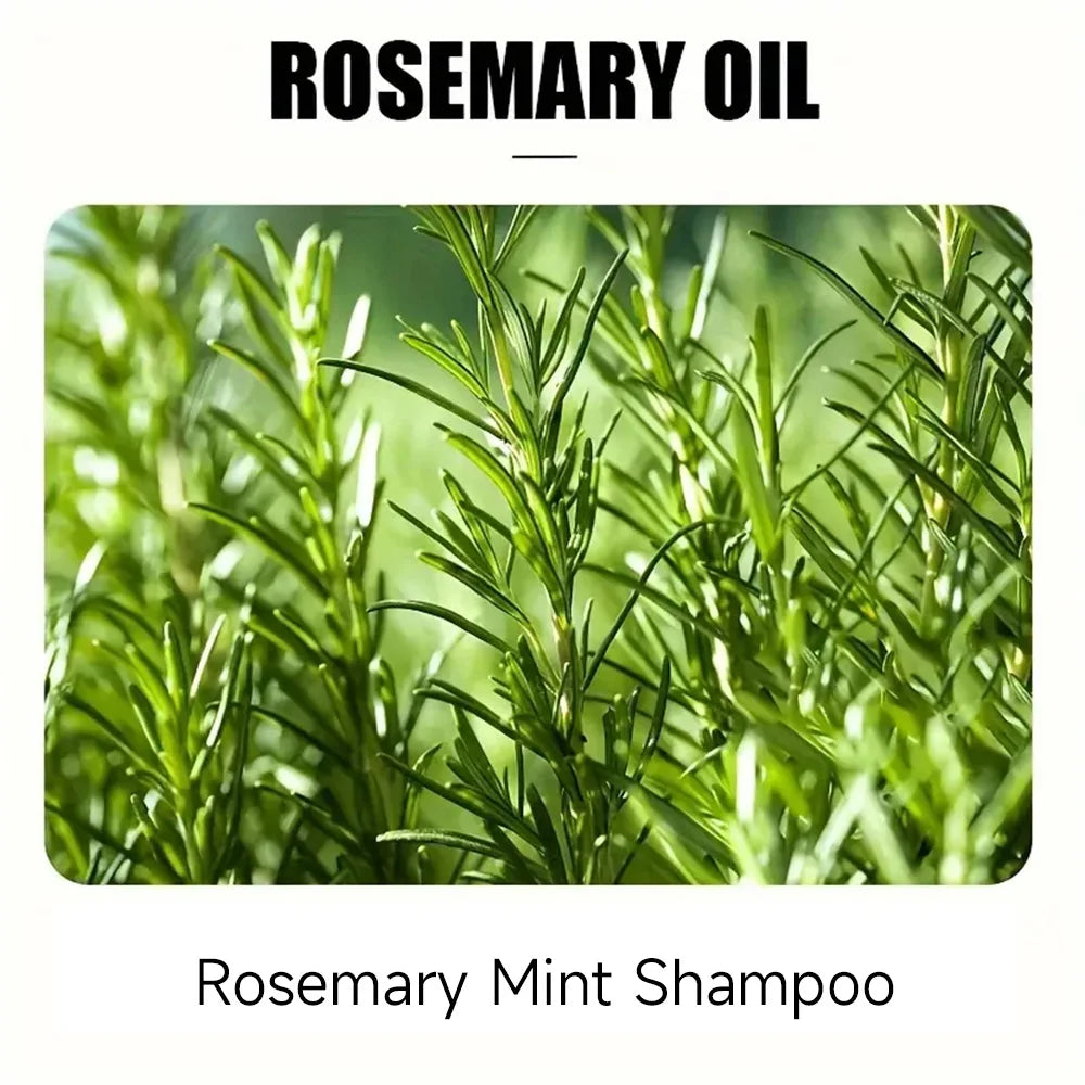 YOUNGCOME Rosemary Mint Hair Growth Oil & Film Treatment Hair Growth Oil Oasis Select