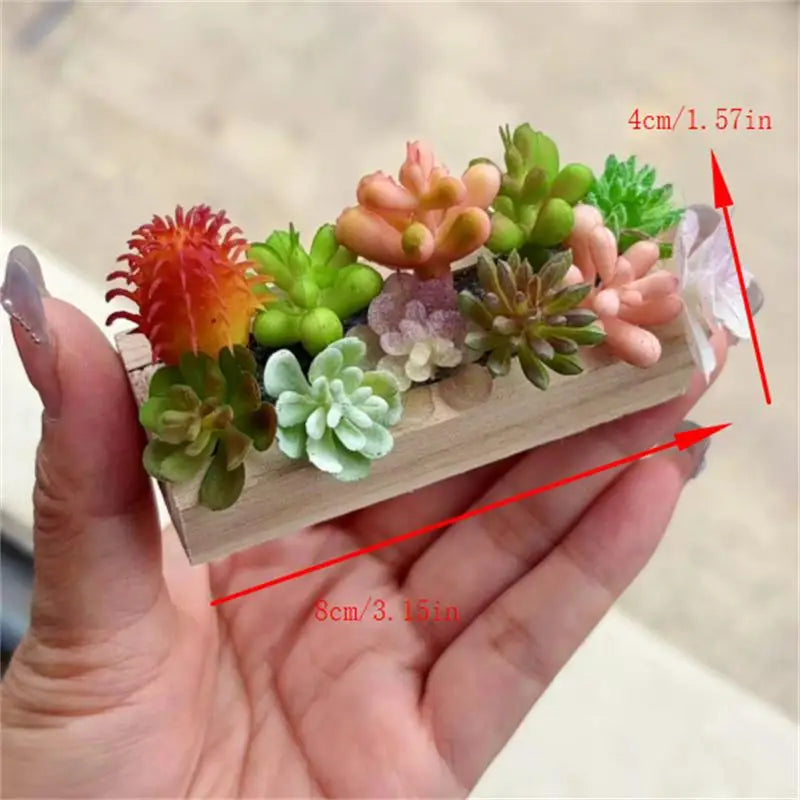 Random One Dollhouse Miniature Succulent Wooden Trough Green Plant Pot Model Micro Landscape Decor Ornaments Pretend Play Toys Oasis Select