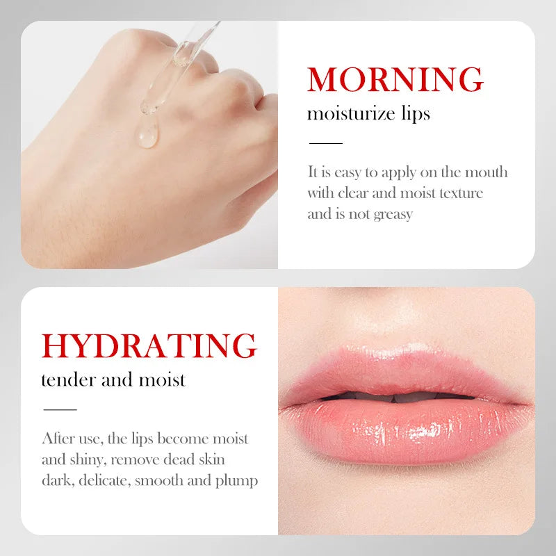 Vitamin E & Honey Lip Balm – Moisturizing Nourishing Lip Care Lip Balm Oasis Select