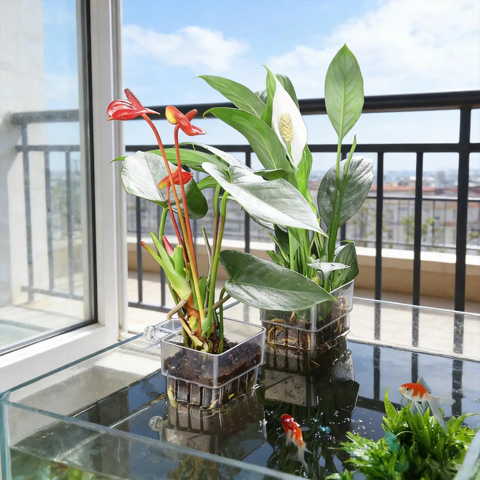 Transparent Hangable Pot Aquarium Plant Holder Aquarium Planter for Fish Tank Hydroponic System Indoor Cultivation Decorations Oasis Select