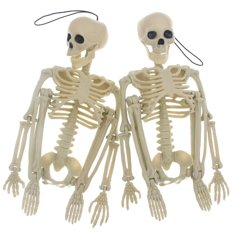Halloween Skeleton Piranha Lizard Spider Mouse Bat Scorpion Skeleton Animal Skeleton Oasis Select Human movable skelet