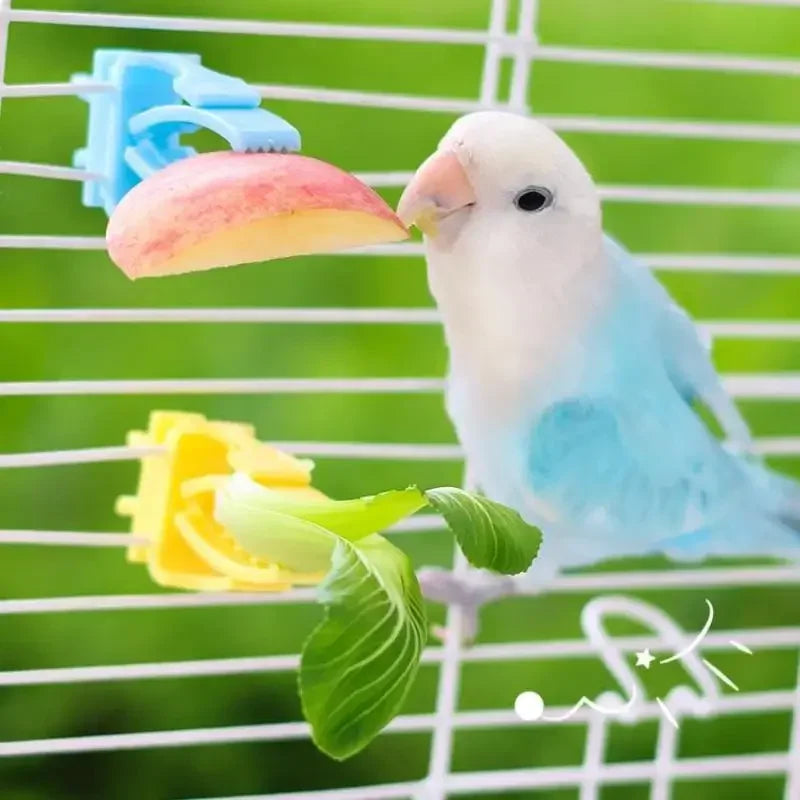 2/4Pcs Pet Bird Food Holder Parrot Fruits Vegetables Clip Bracket Cuttlefish Bone Feeder Device Clamp Bird Cage Accessories Oasis Select