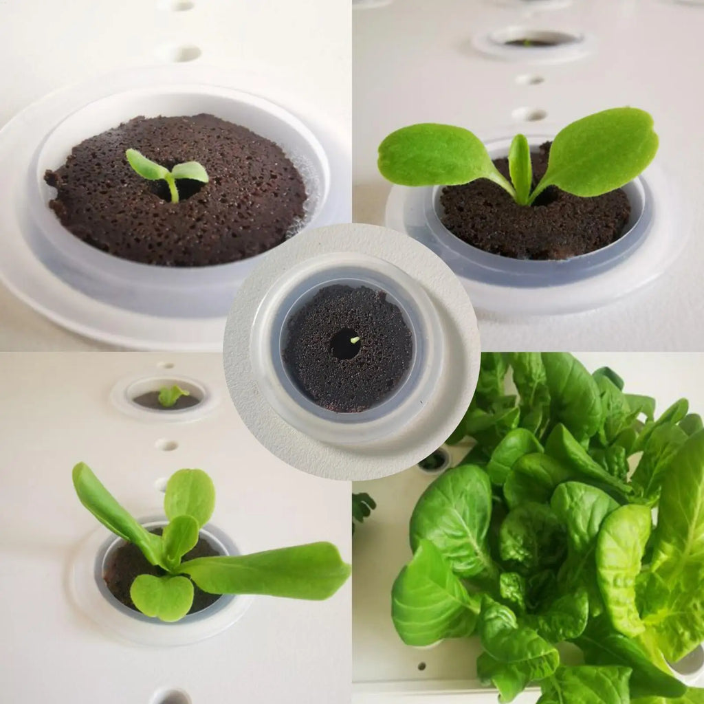 50Pcs Seed Grow Sponges Replacement Root Growth Sponges Seedling Starter Plugs Seed Starting Seed Hydroponic Garden Planting Oasis Select