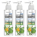 Sulfate-Free Clarifying Shampoo – Tea Tree & Arnica Clarifying Shampoo Oasis Select Smoothing & Straightening
