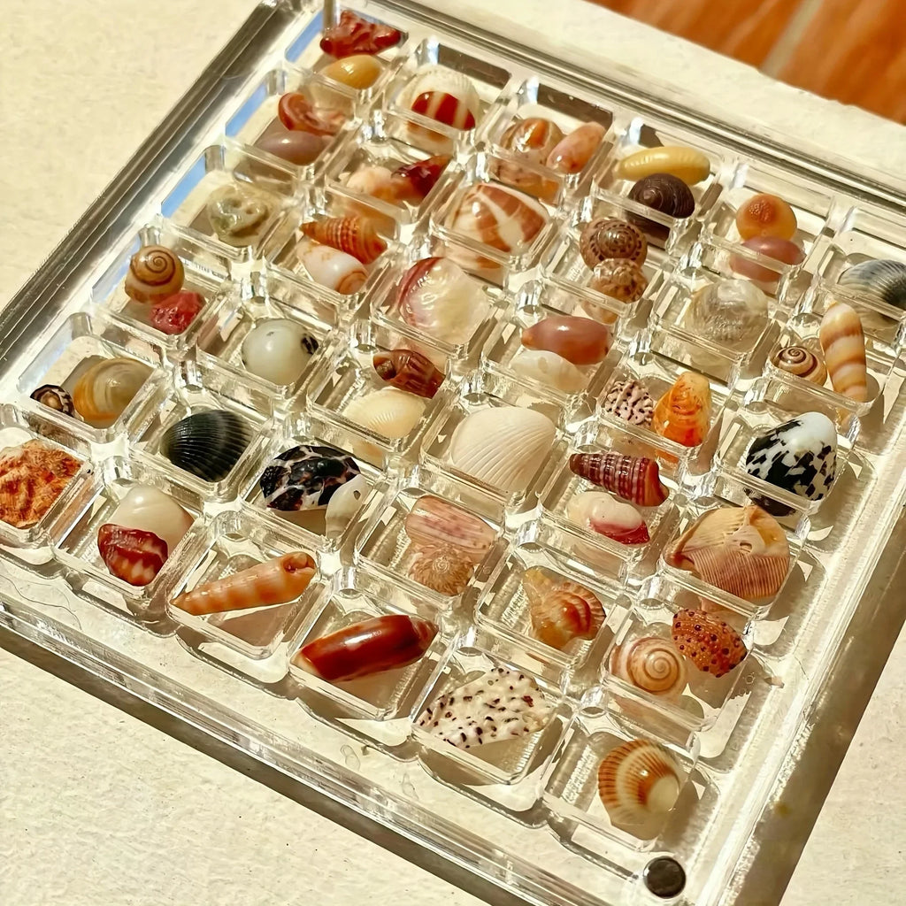 Clear Acrylic Magnetic Display Case 36-Grid Transparent Organizer for Seashells Starfish Jewelry Trinkets Jewelry Making Display Oasis Select