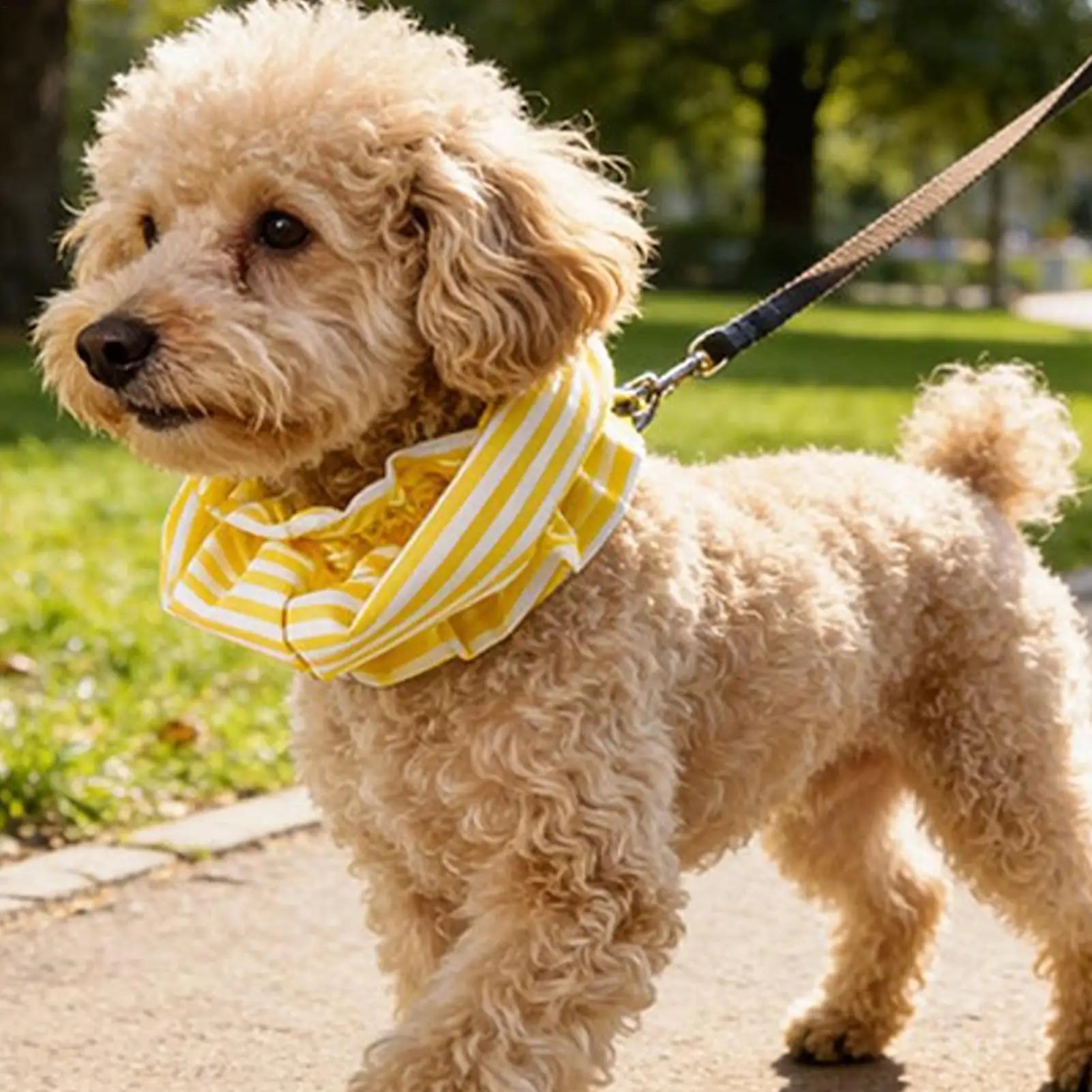 Multifunctional Pets Dog Earmuffs Windproof Pet Earmuff Noise Cancel Puppy Headband Comfortable Pet Scarf Cat Neck Protection Oasis Select