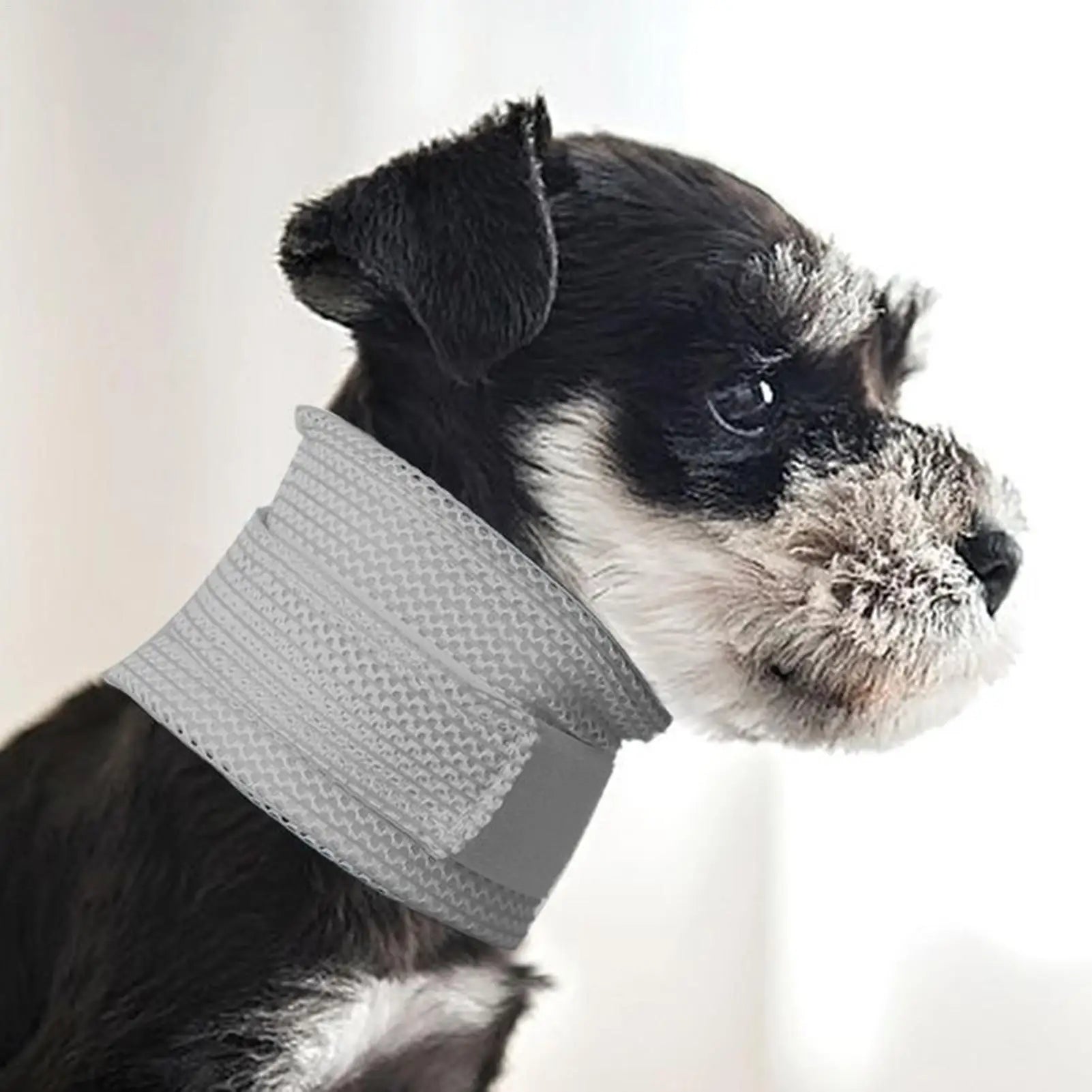 Cat Cone Collar Dog Cat Neck Brace Cover Breathable Anti-Scratch Pet Neck Protective Collar Adjustable Cushion Cervical Cone Oasis Select