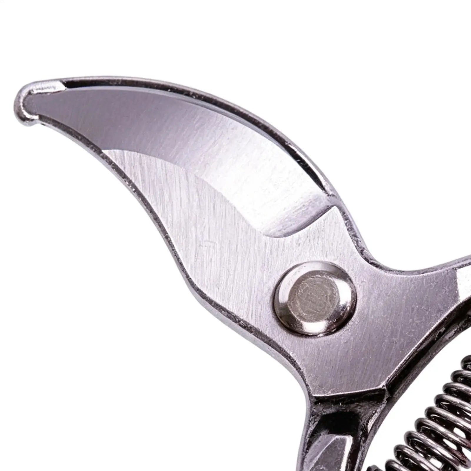 1PC Stainless Steel Gardening Shears Pruning branches Fruit trees Flowers Household Pruning Tools Garden hand Pruning Shears Oasis Select